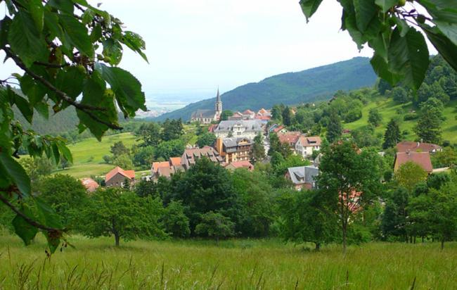 Hotel Du Haut Koenigsbourg- Entre Vignes Et Chateau تينانْكيرْكْ المظهر الخارجي الصورة