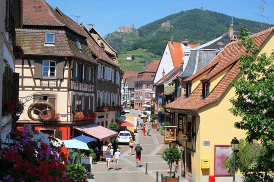Hotel Du Haut Koenigsbourg- Entre Vignes Et Chateau تينانْكيرْكْ المظهر الخارجي الصورة