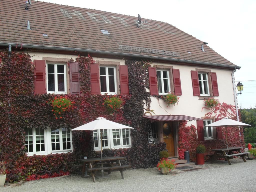 Hotel Du Haut Koenigsbourg- Entre Vignes Et Chateau تينانْكيرْكْ المظهر الخارجي الصورة